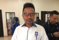 Ketua Pansus RTRW DPRD Kaltim, Baharuddin Demmu. (Foto: InfoNusa.co/ARF)