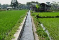 Foto: Ilustrasi saluran irigasi di area persawahan. 