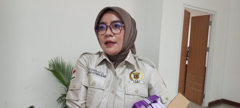 Anggota Komisi II DPRD Kota Samarinda, H. Laila Fatihah. (Ikhsan/Infonusa.co)
