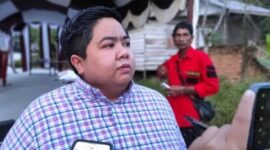 Wakil Ketua DPRD Kaltim, Ananda Emira Moeis. (Ist)
