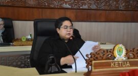 Wakil ketua DPRD Kaltim, Ananda Emira Moeis (ist)
