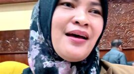 Wakil Ketua DPRD Kaltim, Yenni Eviliana. (ist)