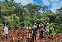 Kondisi KHDTK Universitas Mulawarman yang Terjarah Tambang Ilegal