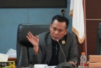 Johansyah Ketua Bapemperda DPRD Kukar. (Info Nusa)