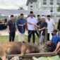 Suasana Hari Raya Idul Adha di Lingkungan Sekretariat DPRD Kaltim. ( Humas DPRD Kaltim)