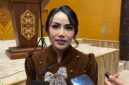 Wakil Ketua DPRD Samarinda, Celni Pita Sari. 